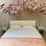 Reve Rose Studio Equipe, Wifi, Vue