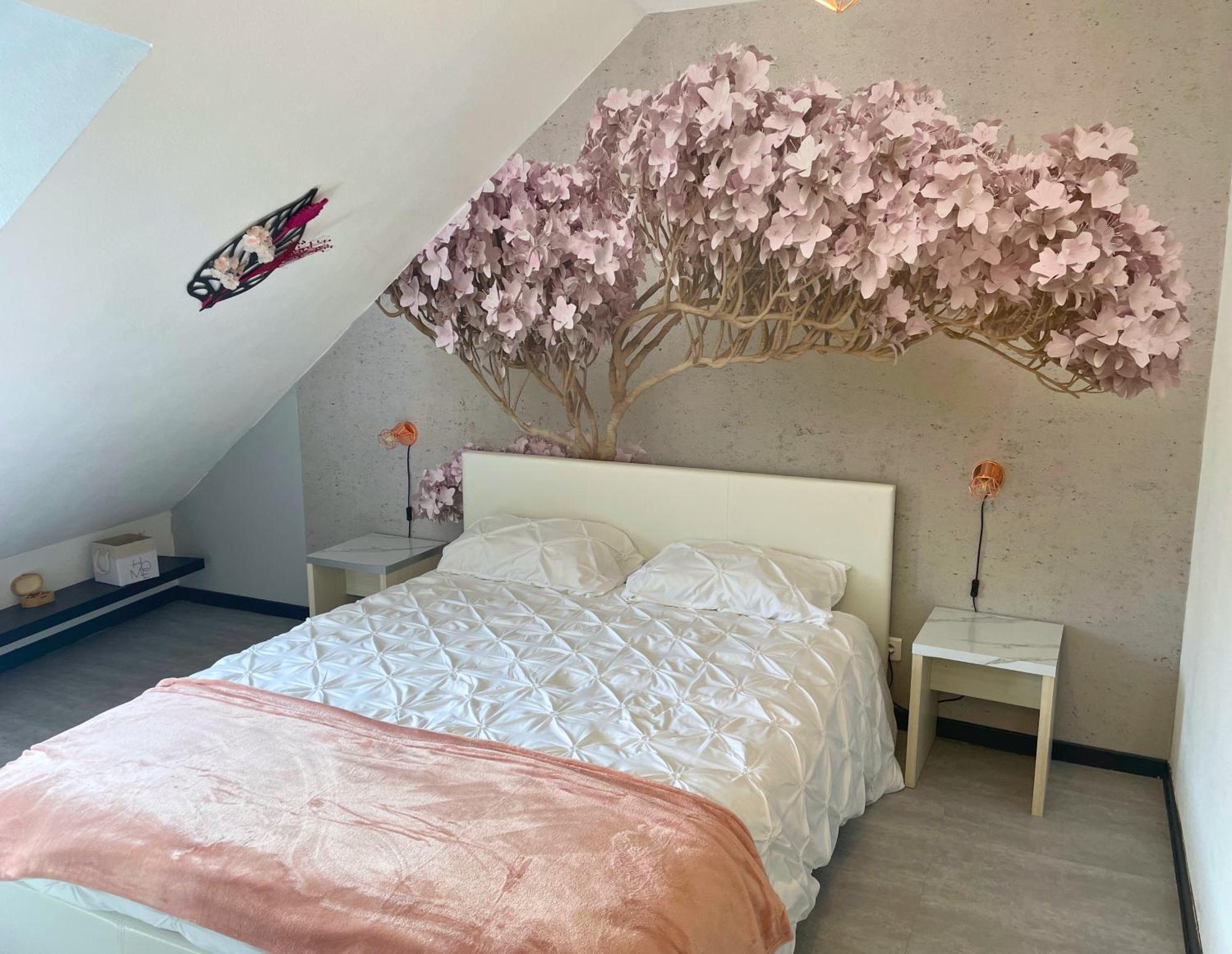 Reve Rose Equipe, Wifi, Vue Lourdes