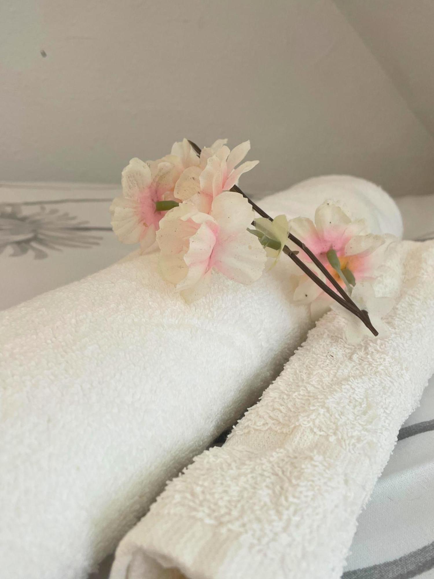Apartamento Reve Rose Equipe, Wifi, Vue Lourdes